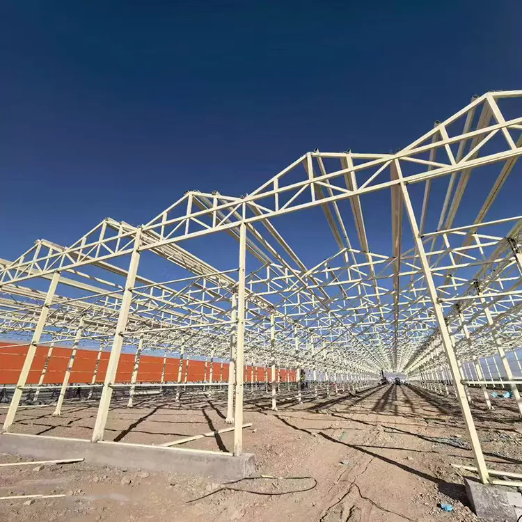 Γιατί είναι ένα πλαίσιο θερμοκηπίου από γαλβανισμένο χάλυβα η καλύτερη επιλογή για τη σύγχρονη γεωργία